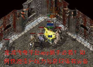 龙城传奇平台app新手必看?如何快速提升战力与获取稀有装备 龙城传奇平台app新手必看?如何快速提升战力与获取稀有装备