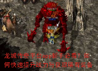 ���Ǵ���ƽ̨app���ֱؿ�����ο�������ս�����ȡϡ��װ��