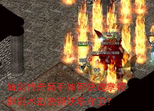 �ɽ�����������ο�����������������������������