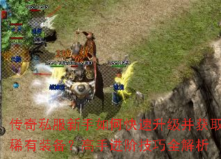 ����˽��������ο�����������ȡϡ��װ�������ֽ��׼���ȫ����