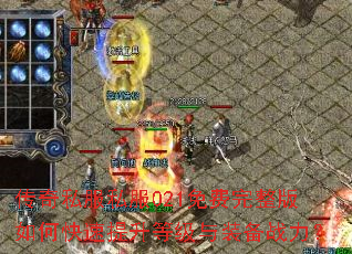 ����˽��˽��021�����������ο��������ȼ���װ��ս����