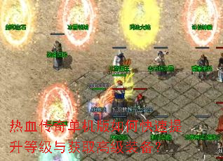 ��Ѫ���浥������ο��������ȼ����ȡ�߼�װ����