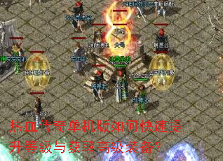 ��Ѫ���浥������ο��������ȼ����ȡ�߼�װ����