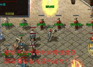 ���¿��Ŵ�������ο��ٻ�ȡϡ��װ��������ս����