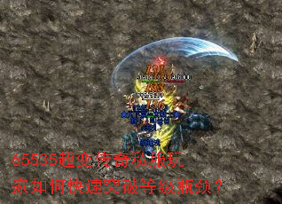 65535���䴫��˽�������ο���ͻ�Ƶȼ�ƿ����