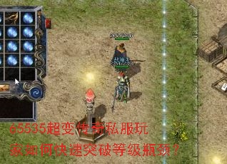 65535���䴫��˽�������ο���ͻ�Ƶȼ�ƿ����