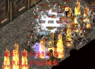 ���´���˽����ô�ң���������ָ������