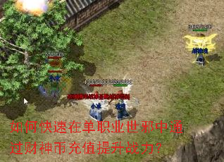 如何快速在单职业世邪中通过财神币充值提升战力? 如何快速在单职业世邪中通过财神币充值提升战力?