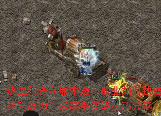 热血传奇私服中法师职业如何快速提升战力?求高手实战技巧分享 热血传奇私服中法师职业如何快速提升战力?求高手实战技巧分享
