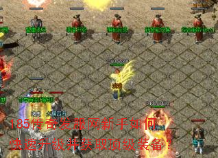 185���淢����������ο�����������ȡ����װ����