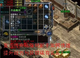 ���Ŵ���˽����������ο�������ս�����ȡϡ��װ����