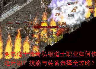 ��̬��ʿ����˽����ʿְҵ��ο���������������װ��ѡ��ȫ���ԣ�