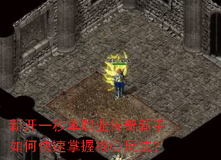 �¿�һ�뵥ְҵ����������ο������պ����淨��