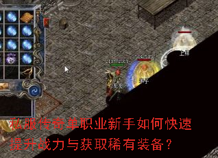 ˽�����浥ְҵ������ο�������ս�����ȡϡ��װ����