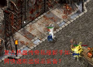 ������Ѫ����˽��������ο���ˢ����Ʒװ����