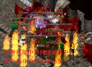 ����˽������ο���������ɫս������װ��Ʒ�ʣ�