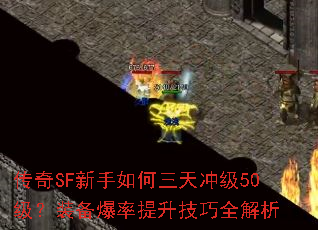 ����SF�����������弶50����װ��������������ȫ����