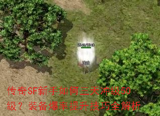 ����SF�����������弶50����װ��������������ȫ����