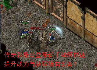 ����˽�������������ο�������ս�����ȡϡ��װ����