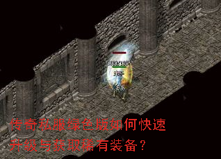 ����˽����ɫ����ο����������ȡϡ��װ����