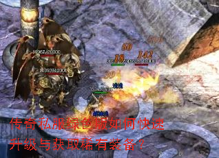 ����˽����ɫ����ο����������ȡϡ��װ����