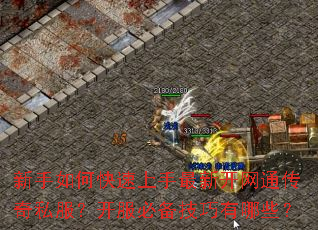 ������ο����������¿���ͨ����˽���������ر���������Щ��