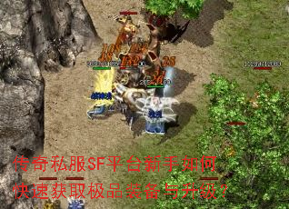 ����˽��SFƽ̨������ο��ٻ�ȡ��Ʒװ����������