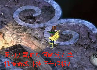 无刀刀飘血如何触发?单机传奇战斗技巧全解析? 无刀刀飘血如何触发?单机传奇战斗技巧全解析?