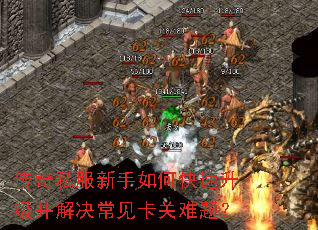 ����˽��������ο�����������������������⣿