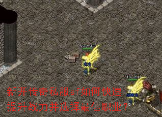 �¿�����˽��sf��ο�������ս����ѡ�����ְҵ��