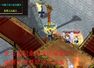 ���ŵ�ְҵ����˽��������ο��ٻ�ȡ����װ����