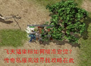 ������������ξ�׼��λ������˽����ЧѰ�ҹ����ڴ�