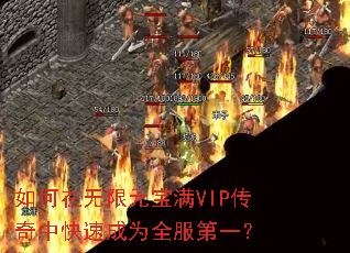 ���������Ԫ����VIP�����п��ٳ�Ϊȫ����һ��