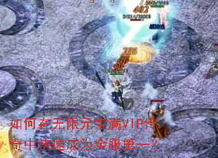 ���������Ԫ����VIP�����п��ٳ�Ϊȫ����һ��