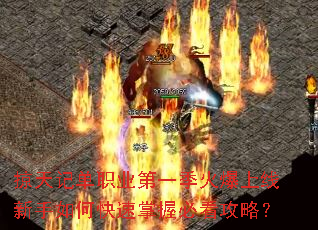 ����ǵ�ְҵ��һ��������������ο������ձؿ����ԣ�