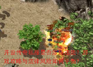 ���贫��˽���Ƿ�����Υ������Ϸ�����뷨�ɷ������ƽ�⣿