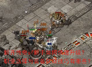 �¿�����sf������ο���������ְҵѡ����װ����ȡ��������Щ��