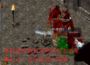 ��ְҵ��������θ�Ч��������boss��ȫ�׶μ������