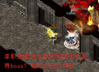 ��ְҵ��������θ�Ч��������boss��ȫ�׶μ������