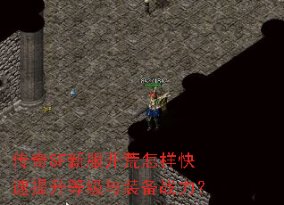 传奇SF新服开荒怎样快速提升等级与装备战力? 传奇SF新服开荒怎样快速提升等级与装备战力?