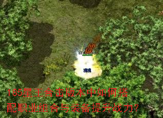 185�����ϻ��汾����δ���ְҵ�����װ������ս����