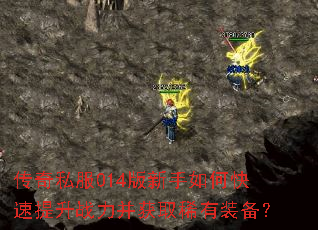 传奇私服014版新手如何快速提升战力并获取稀有装备? 传奇私服014版新手如何快速提升战力并获取稀有装备?