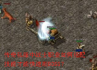 ����˽����սʿְҵ��δ��似�ܲ��ܿ���ˢBOSS��