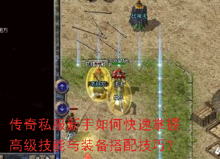 ����˽��������ο������ո߼�������װ�����似�ɣ�