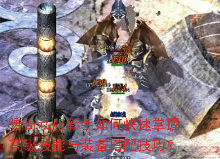 ����˽��������ο������ո߼�������װ�����似�ɣ�