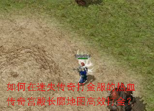 �������ʧ�����������Ѫ���湬��ȵ�ͼ��Ч���