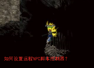 �������Զ��NPC�ű���������