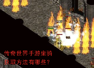 �����������������ȡ��������Щ��