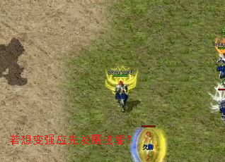 �����ǿӦ�ȷ�չ���ܣ�