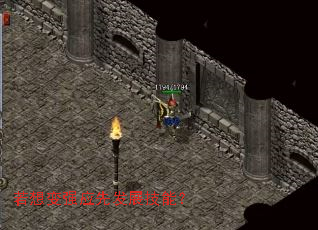 �����ǿӦ�ȷ�չ���ܣ�